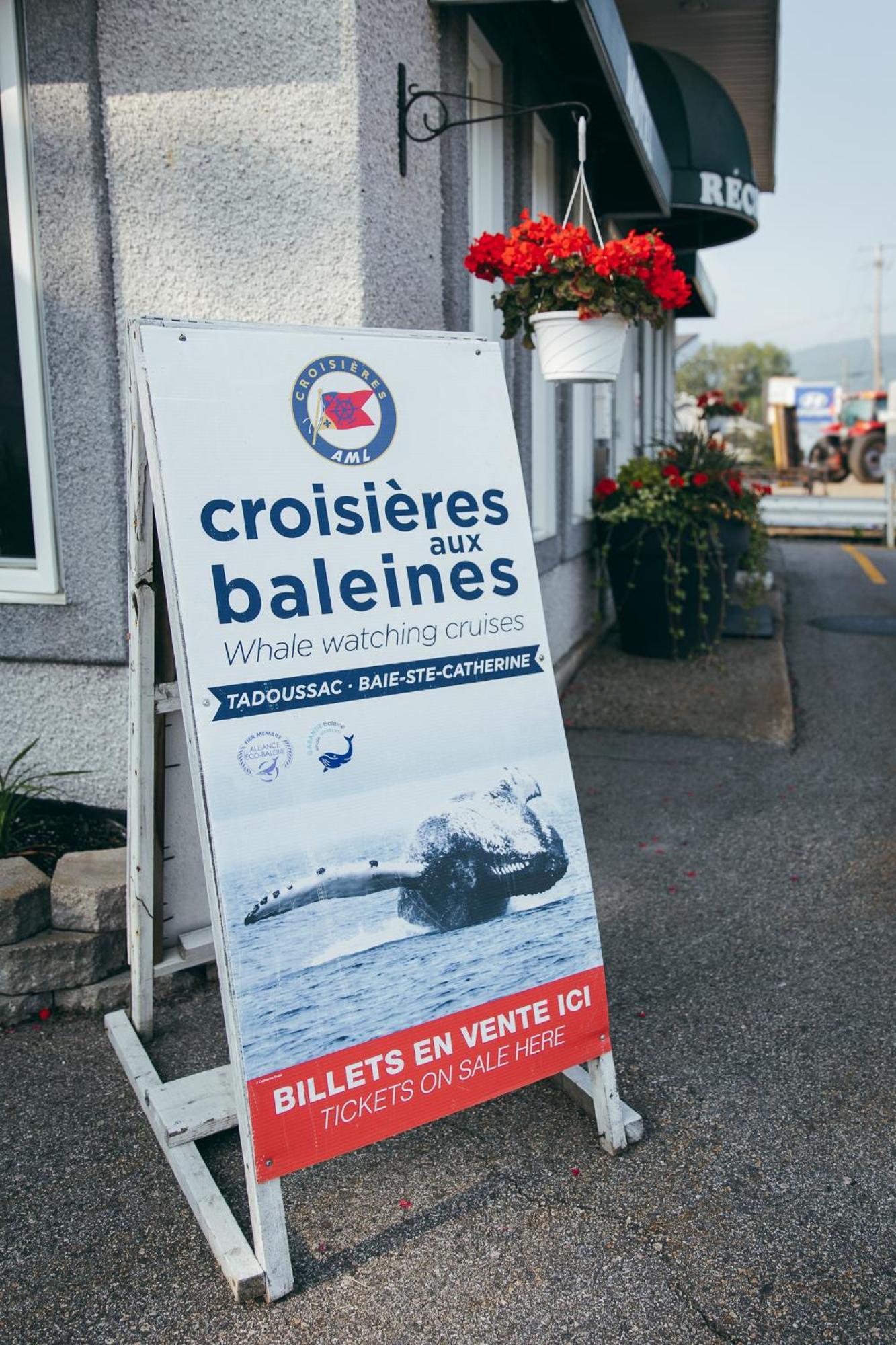 Motel Des Cascades Baie-Saint-Paul Exteriér fotografie