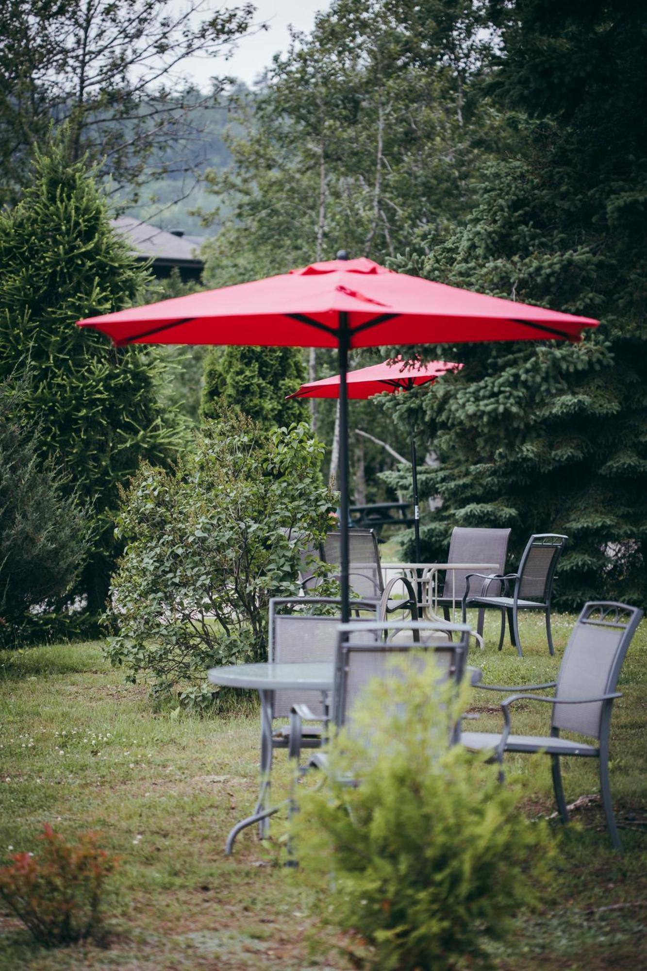Motel Des Cascades Baie-Saint-Paul Exteriér fotografie