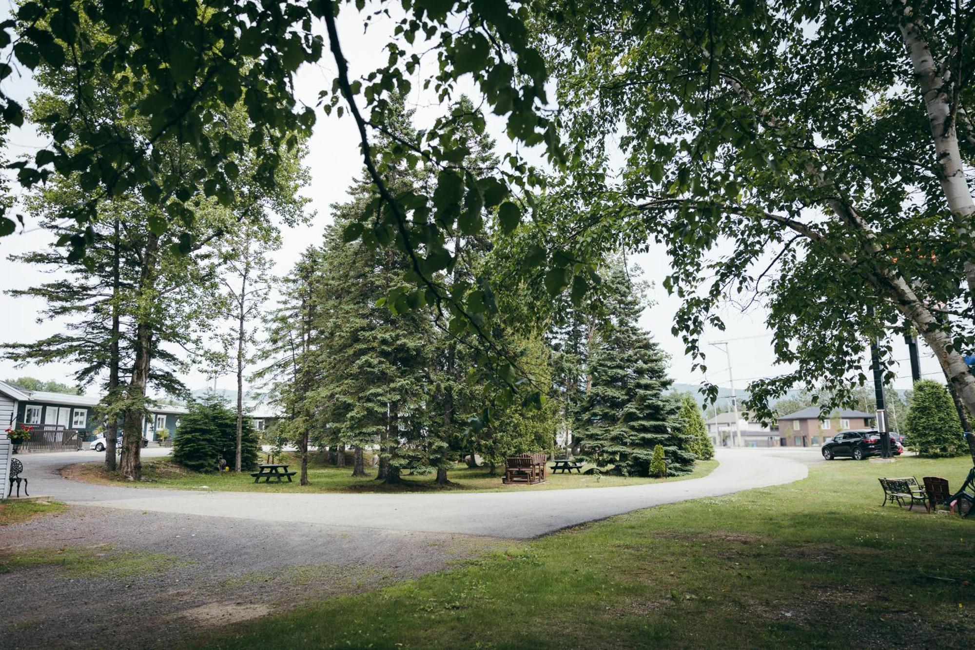 Motel Des Cascades Baie-Saint-Paul Exteriér fotografie